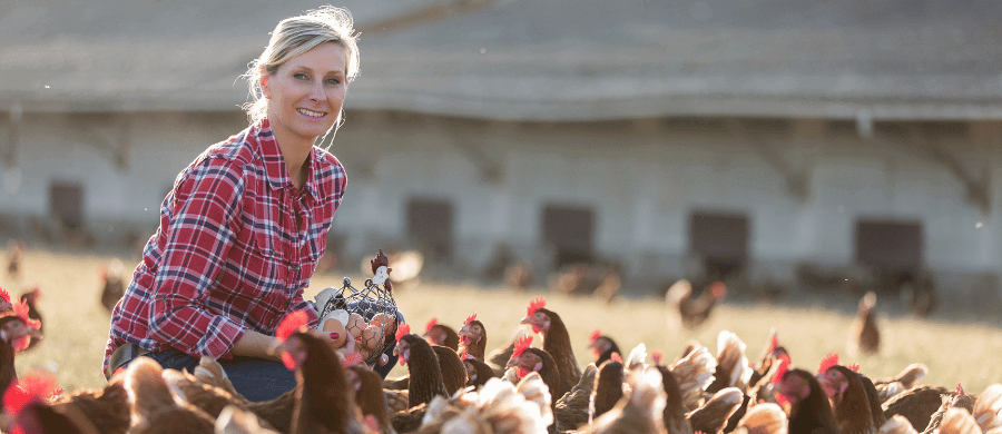 Farmer woman feeding chickens