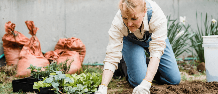 Older woman planting vegetables