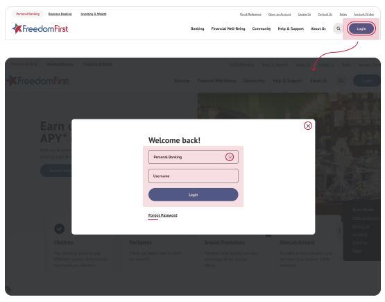 screen shot of login screen