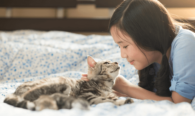 Young girl smiling and petting tabby cat